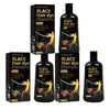 Black Hair Dye Shampoo 3in1 with Ginger & Biotin - Long Lasting Color & Gray Coverage for Vibrant Hair