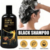 Black Hair Dye Shampoo 3in1 with Ginger & Biotin - Long Lasting Color & Gray Coverage for Vibrant Hair