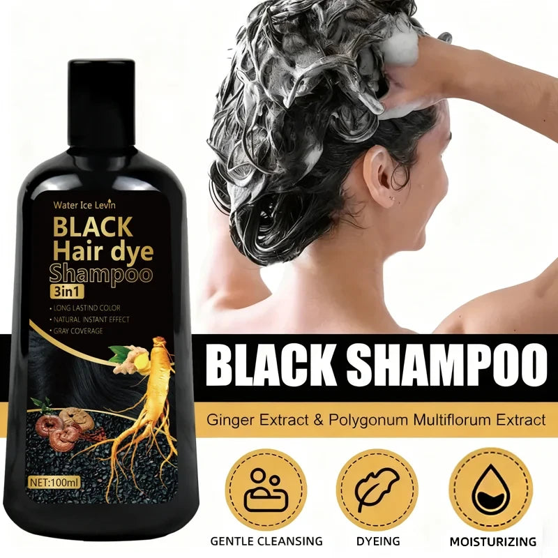Black Hair Dye Shampoo 3in1 with Ginger & Biotin - Long Lasting Color & Gray Coverage for Vibrant Hair